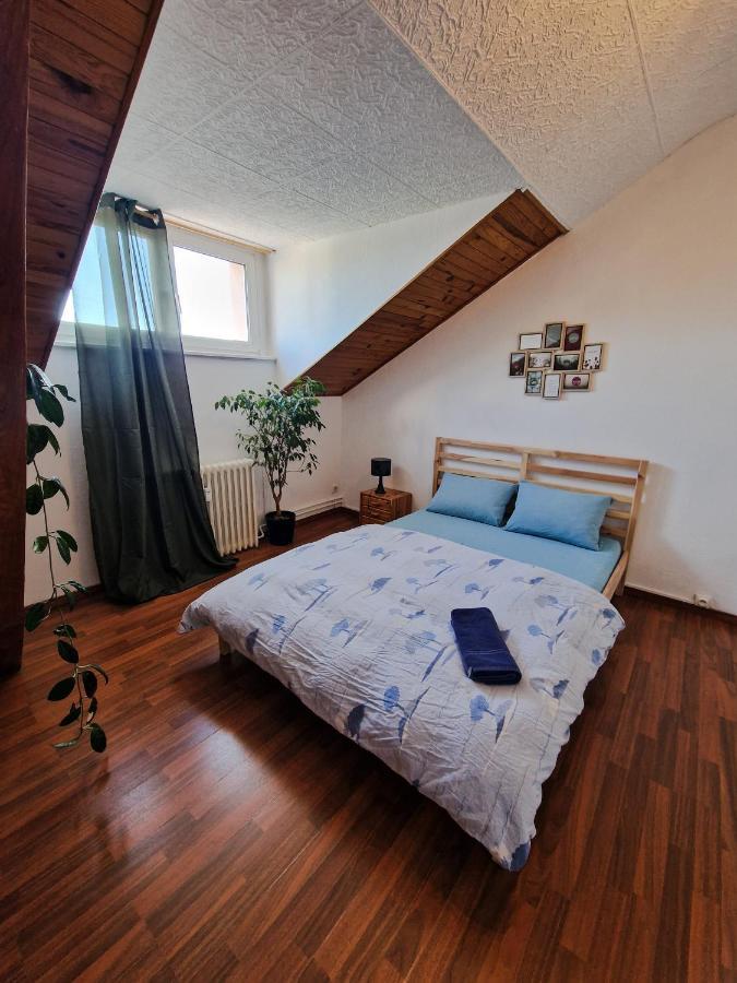 Nice Room 4 Minutes From Basel Shared Apartment Saint-Louis  Exterior photo