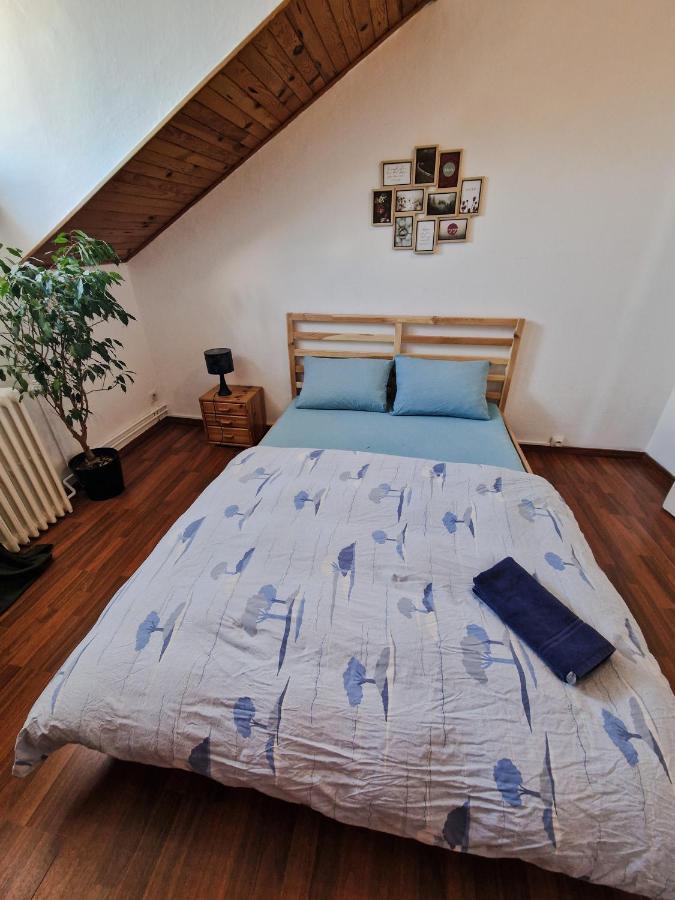 Nice Room 4 Minutes From Basel Shared Apartment Saint-Louis  Exterior photo