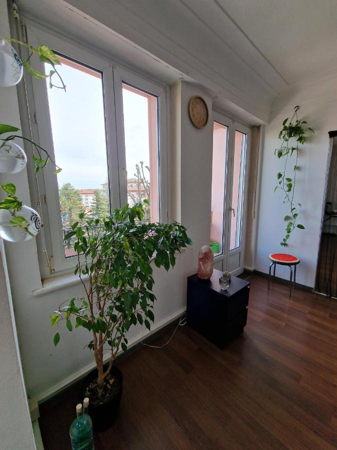 Nice Room 4 Minutes From Basel Shared Apartment Saint-Louis  Exterior photo